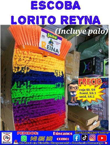 ESCOBA LORITO REYNA (Incluye palo)