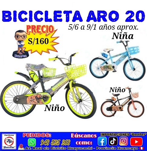 BICICLETA ARO 20