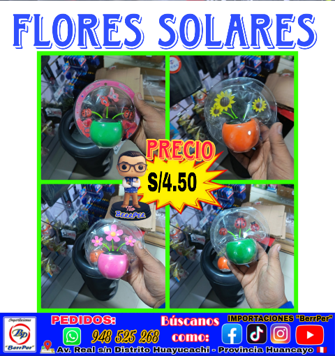 FLORES SOLARES