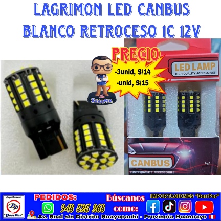 LAGRIMON LED CANBUS BLANCO RETROCESO 1C 12V (2pcs, Chen high lamp quality accessorios)